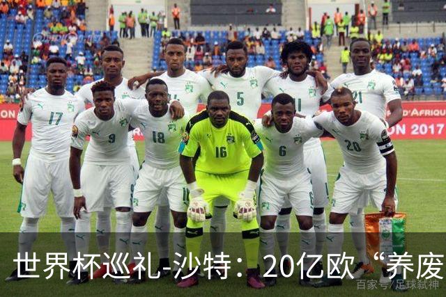 世界杯巡礼-沙特：20亿欧“养废”国家队，临阵换帅难有奇迹
